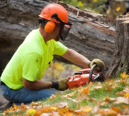 tree services Navassa